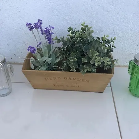 Casco Antiguo Con Terraza شقة